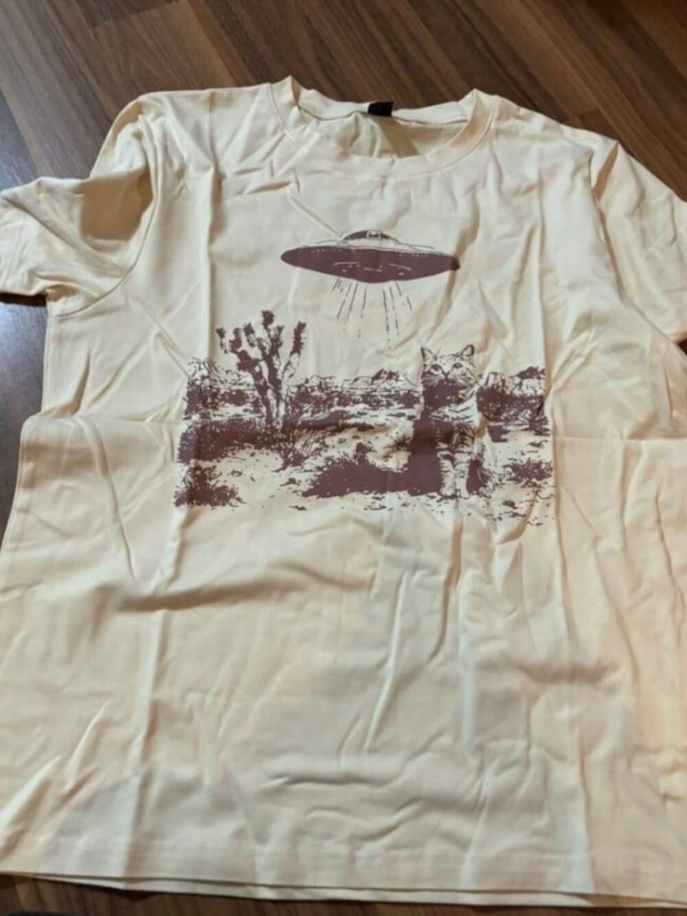 UFO Cat Graphic Tee – Vintage Alien & Desert Y2K T-Shirt